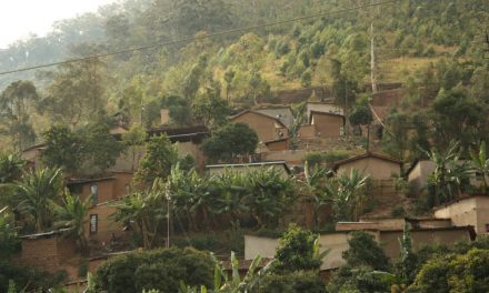 Rwanda: toonbeeld of dictatuur?