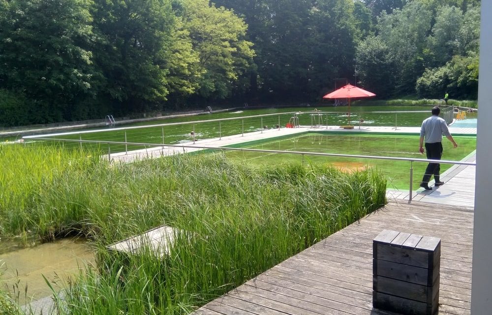 Zwemvijver Boekenbergpark gaat weer open