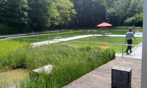 Zwemvijver Boekenbergpark gaat weer open