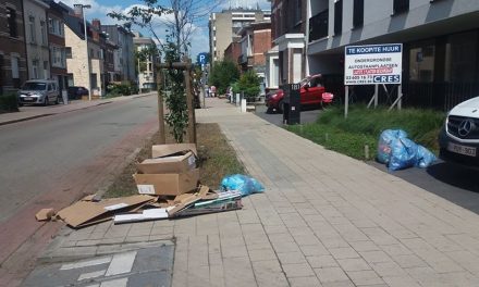 Appartementsgebouw is verzamelplaats voor het vuilnis van achterliggende straat