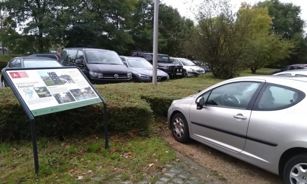 Betaald parkeren in het Rivierenhof: beslissing is nog niet gevallen