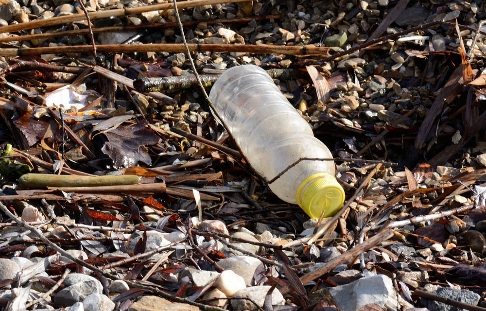 Groen Deurne wil statiegeld op plasticflessen en blikjes
