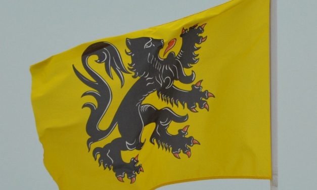 Vlaamse vlag moet aan alle gebouwen wapperen
