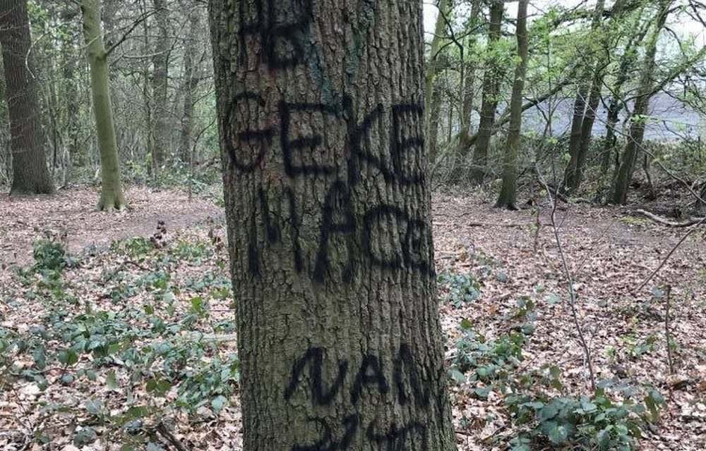 Bomen besmeurd met graffiti