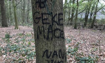 Bomen besmeurd met graffiti