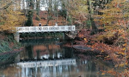 Gevaar dreigt voor gietijzeren brug in Boekenbergpark