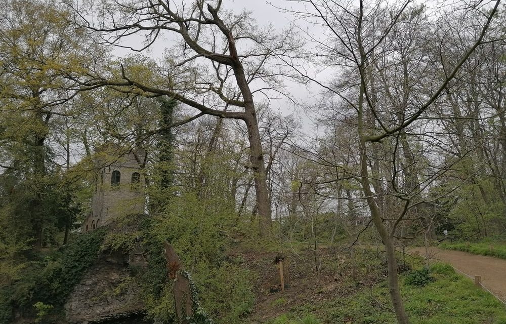 Grot in het Boekenbergpark is bedreigd