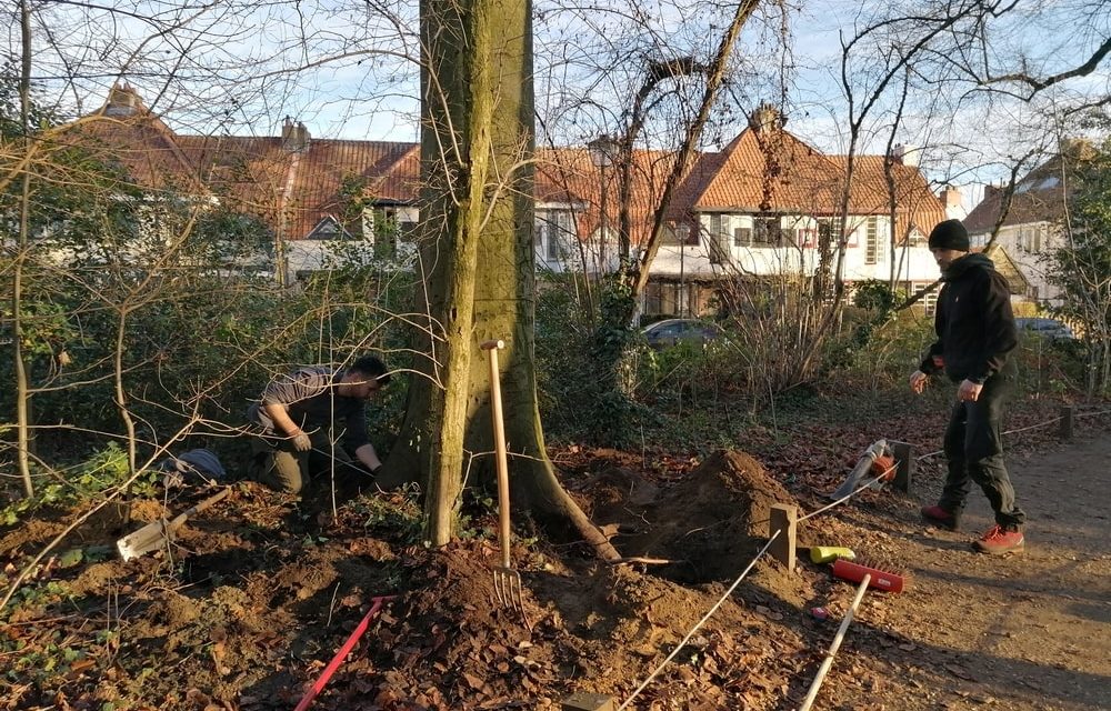 Controle van de bomen in het Boekenbergpark