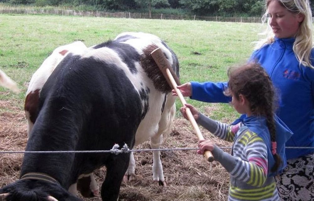 Handjes gezocht voor de Kinderboerderij