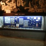 Natuurhistorisch museum Boekenberg zoekt bezoekers en vrijwilligers