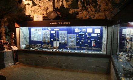 Natuurhistorisch museum Boekenberg zoekt bezoekers en vrijwilligers