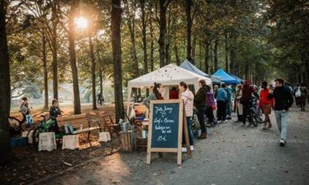 De gezelligste markt in ’t schoonste park: Ecodroom