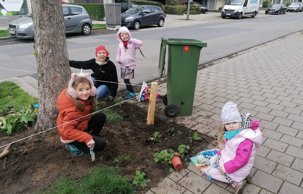 Bewoners leggen een tuintje aan op de straat