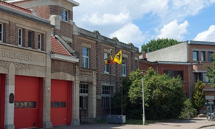 Vlaamse vlag wappert